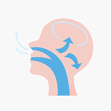 This illustration depicts a side profile of a head, clearly showing airflow paths through the mouth and nose. Arrows highlight how air travels onward, offering insights into airflow dynamics typical of a mouth breather in Prosper or Colleyville, TX