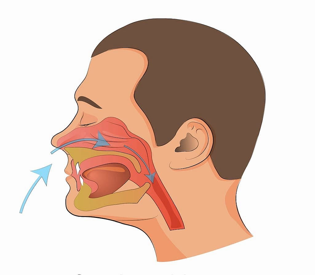 Illustration of a side profile view of the human head showing the respiratory pathway, highlighting airflow from mouth breathers with arrows through the mouth, throat, and windpipe in Prosper or Colleyville, TX